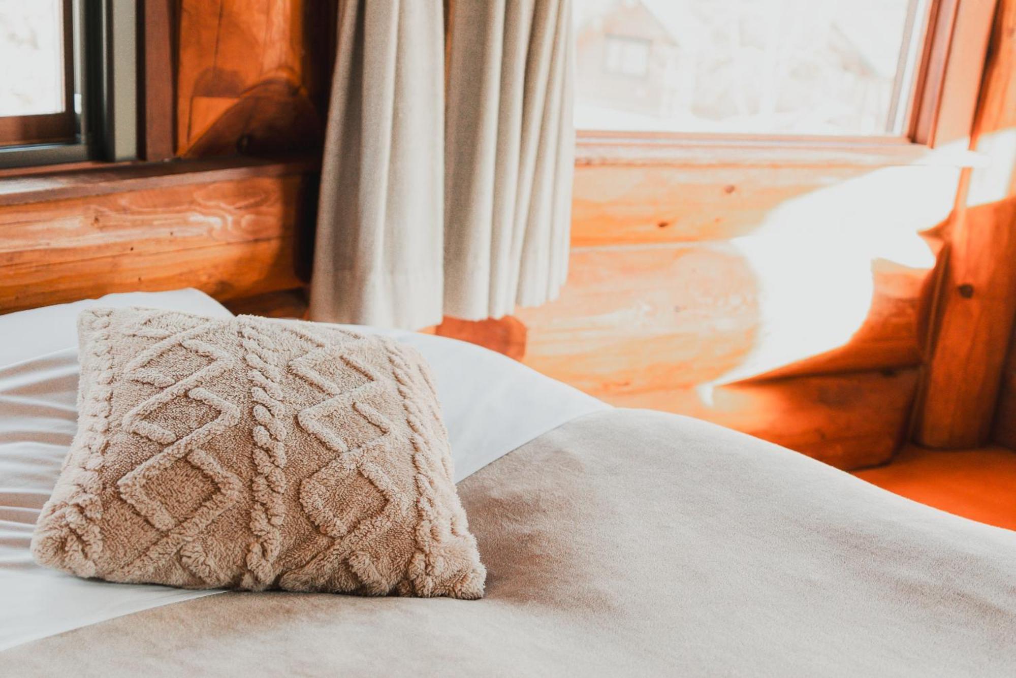 Hakuba Pension & Log Hotel Meteor Экстерьер фото