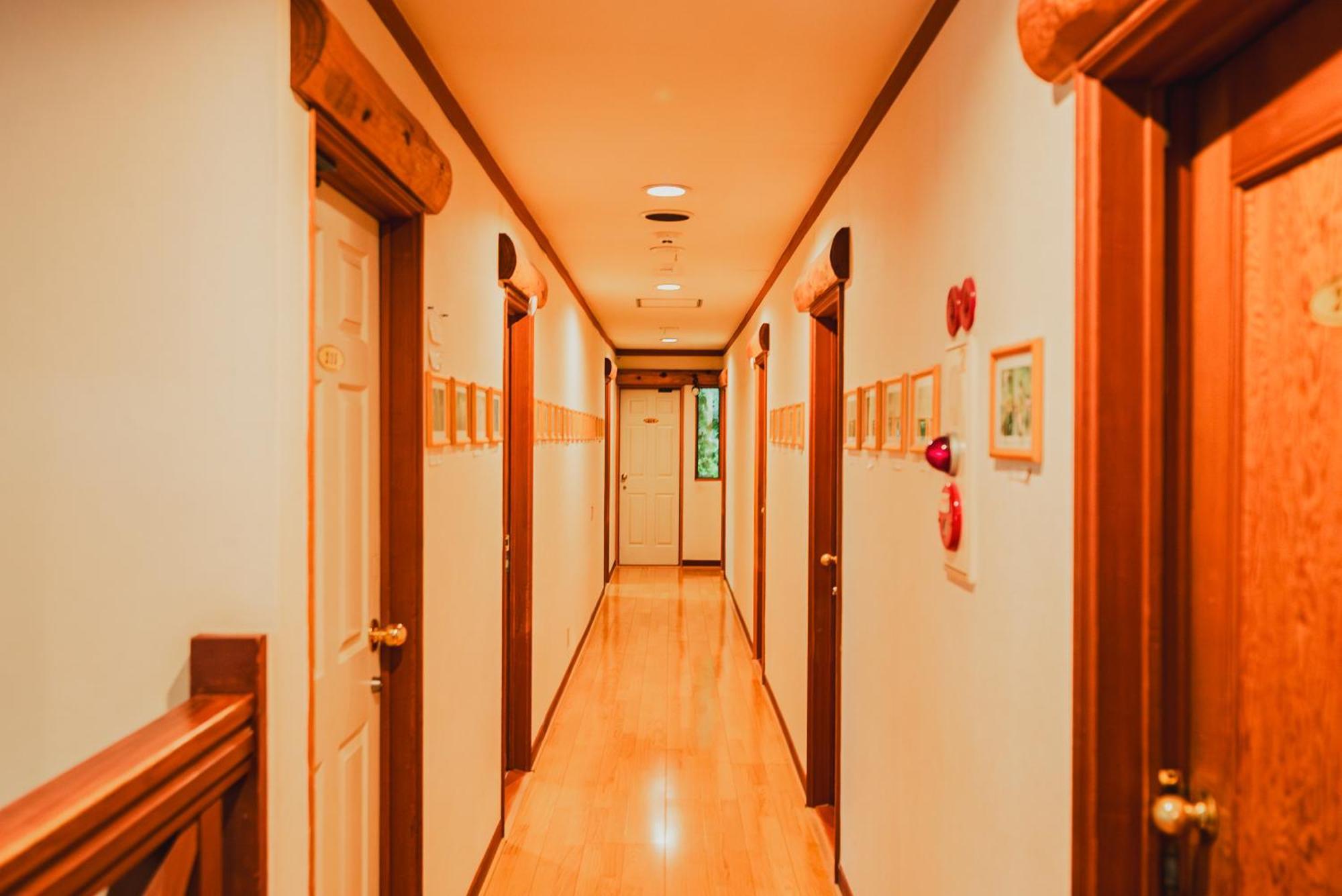Hakuba Pension & Log Hotel Meteor Экстерьер фото